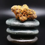 420 Evolution 27/1 CA MGD 420 Evolution 27/1 CA MGD medizinische Cannabisblüte mit 27 % THC auf Rezept erhältlich