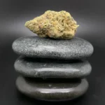 Coyote Valley 20/1 NP medizinische Cannabisblüte in pharmazeutischer Qualität auf Rezept