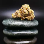 CRF GBRC 26/1 medizinische Cannabisblüte in pharmazeutischer Qualität auf Rezept