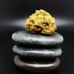 CzechOut 21/1 ORZ CzechOut 21/1 ORZ medizinische Cannabisblüte mit 21 % THC auf Rezept erhältlich