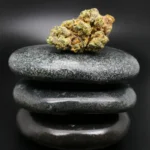 Dank Craft 28 UC CAN medizinische Cannabisblüte mit 28 % THC auf Rezept erhältlich