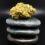 HUALA 27/1 CA POG Huala 27/1 CA POG medizinische Cannabisblüte mit 27 % THC auf Rezept erhältlich