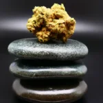 Medizinische Cannabisblüte IMC GRZ THC22 in Nahaufnahme