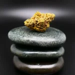 IMC Purple Flame Cannabisblüte mit 25 % THC – medizinisches Cannabis in pharmazeutischer Qualität