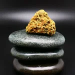 Cannabisblüte IMC THC 22 T05 – medizinisches Cannabis der Sorte Somango