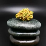IMC Gorilla Queen Cannabisblüte mit 25 % THC – hochpotentes medizinisches Cannabis