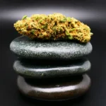 Cannabisblüte MCOS Strong 27/1 MDoc PXY – medizinisches Cannabis der Sorte Proxy