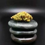 Cannabisblüte Super Lemon G (420 Balanced Basic PT SLG) – kompakt, zitrusbetont, medizinische Qualität