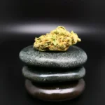 Cannabisblüte Gorilla Glue #4 (420 Natural 22/1 CA GG4) – kompakt, harzreich, 22 % THC, medizinische Qualität