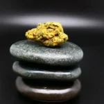Cannabisblüte GMO Cookies (Peace Naturals 29/1 GC) – kompakt, trichomreich, 29 % THC, pharmazeutisch verarbeitet