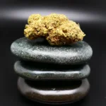 Cannabisblüte Booty Clapper (Remexian 30/1 PGF BCL) – kompakt, trichomreich, 30 % THC, medizinische Qualität