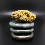Bling Blaow Cannabisblüte – 420 Compound 27/1 CA BBW medizinisches Cannabis mit süß-würzigem Aroma