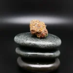 Cannabisblüte Miracle Mint – 420 Evolution 27/1 CA MMI von Four 20 Pharma, medizinisches Cannabis, unbestrahlt, aus Kanada