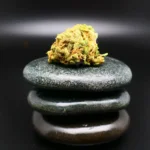 Zour Apple Cannabisblüte – 420 Sungrown 25/1 CA ZRP medizinisches Cannabis mit fruchtig-säuerlichem Aroma