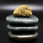 Be Humble DD 25/1 Cannabisblüte - medizinisches Cannabis