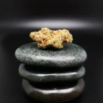 GMO x OZ Kush Cannabisblüte – CNBS GMXOZ 30/1 medizinisches Cannabis mit süß-würzigem Aroma