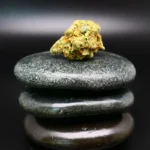 Medizinische Cannabisblüte HUALA 22/1 CA BTR – Sorte Black Triangle
