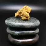 Lot 420 OC Cannabisblüte Orange Cake – medizinisches Cannabis mit ausgewogenem THC-Gehalt