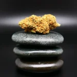 African Ruby Cannabisblüte – Mediprocan 26/1 medizinisches Cannabis mit erdig-würzigem Aroma