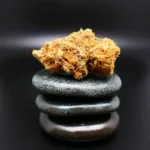 Future Island Cannabisblüte – Remexian 24/1 CBM FUI medizinisches Cannabis mit tropisch-fruchtigem Aroma