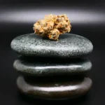 Banana Daddy Cannabisblüte – Remexian 27/1 CIV BDY medizinisches Cannabis mit fruchtigem Bananen-Aroma