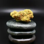 Poison Kush Cannabisblüte – Remexian 27/1 CIV PKU medizinisches Cannabis mit würzig-süßem Aroma