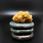 Banana Gas Cannabisblüte – Remexian 27/1 GJY BAG medizinisches Cannabis mit tropischem Aroma