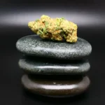 LA Brunch Cannabisblüte – Remexian 30/1 MTL LAB medizinisches Cannabis mit fruchtig-würzigem Aroma