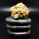 West Coast Kush Cannabisblüte – Remexian 30/1 MTL WCK medizinisches Cannabis mit erdigem Kush-Aroma