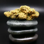G-Wagon Cannabisblüte – Remexian 33/1 VCC GWA medizinisches Cannabis mit intensiv-würzigem Aroma