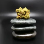 Khiron LBO 24/1 – Medizinische Cannabisblüte mit 24 % THC, kompakte Struktur, deutlich sichtbare Trichome, pharmazeutische Qualität.
