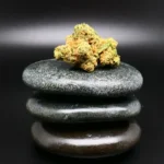 Remexian 30/1 PRT TFT – Medizinische Cannabisblüte mit 30 % THC, basierend auf Think Fast, kompakte Struktur, reich an Trichomen, pharmazeutische Qualität.