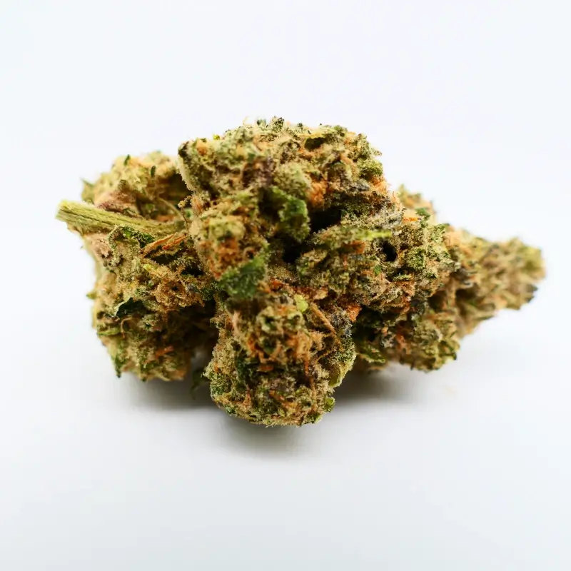 Avaay Signature 30/1 CBX Medizinisches Cannabis Apotheke Cannabisblüten