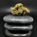 MGF GBO 26 medizinische Cannabisblüte mit 26 % THC auf Rezept erhältlich