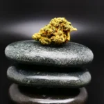 NICE 25/1 LP medizinische Cannabisblüte mit 25 % THC auf Rezept erhältlich