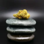 NICE 28/1 GBA medizinische Cannabisblüte mit 28 % THC auf Rezept erhältlich