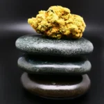 Medizinische Cannabisblüte Remexian 24/1 GCC SWB in Nahaufnahme