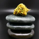 Medizinische Cannabisblüte Remexian 24/1 MHI MAD – getrocknete Blüte in Nahaufnahme