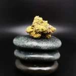 Remexian 24/1 PRT SCK medizinische Cannabisblüte mit 24 % THC auf Rezept erhältlich