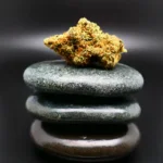 Remexian 27/1 BRC TRE Cannabisblüte medizinische Sorte mit 27 Prozent THC