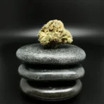 Remexian 27/1 GJY LIB Remexian 27/1 GJY LIB medizinische Cannabisblüte mit 27 % THC auf Rezept erhältlich