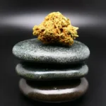 Remexian 27/1 OTA ZAD Cannabisblüte – Zanda’s Dream mit 27 % THC, medizinisches Cannabis
