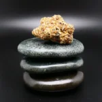 Medizinische Cannabisblüte Remexian 27/1 PBC WTR – Sorte White Truffle mit hohem THC-Gehalt