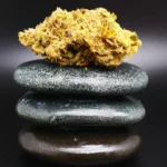Remexian 30/1 JOI OKC Remexian 30/1 JOI OKC medizinische Cannabisblüte mit 30 % THC auf Rezept erhältlich