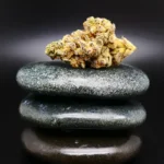 Remexian 30/1 MTL FRF medizinische Cannabisblüte mit 30 % THC auf Rezept erhältlich