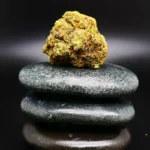 Remexian 33/1 BBR HOT Remexian 33/1 BBR HOT medizinische Cannabisblüte mit 33 % THC auf Rezept erhältlich