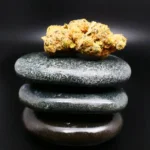 Remexian 33/1 CIV GHB Remexian 33/1 CIV GHB medizinische Cannabisblüte mit 33 % THC auf Rezept erhältlich