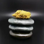 Remexian 33/1 HMA CCA Remexian 33/1 HMA CCA medizinische Cannabisblüte mit 33 % THC auf Rezept erhältlich