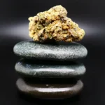 Remexian 33/1 MTL CHC medizinische Cannabisblüte mit 33 % THC auf Rezept erhältlich