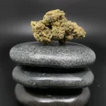 Remexian 33/1 MTL DIN medizinische Cannabisblüte mit 33 % THC auf Rezept erhältlich